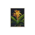 Picture of Indoor Plant _GroupedProduct_Rectangle_Portrait_Canvas_Framed_