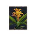 Picture of Indoor Plant _GroupedProduct_Rectangle_Portrait_Canvas_Framed_