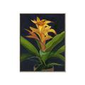 Picture of Indoor Plant _GroupedProduct_Rectangle_Portrait_Canvas_Framed_