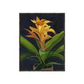 Picture of Indoor Plant _GroupedProduct_Rectangle_Portrait_Canvas_Framed_