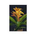 Picture of Indoor Plant _GroupedProduct_Rectangle_Portrait_Canvas_Framed_