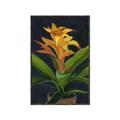 Picture of Indoor Plant _GroupedProduct_Rectangle_Portrait_Canvas_Framed_