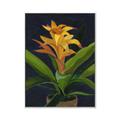 Picture of Indoor Plant _GroupedProduct_Rectangle_Portrait_Canvas_Framed_