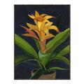 Picture of Indoor Plant _GroupedProduct_Rectangle_Portrait_Canvas_Framed_