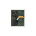 Picture of Long Beak I _GroupedProduct_Rectangle_Portrait_Canvas_Framed_