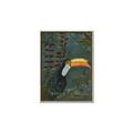 Picture of Long Beak I _GroupedProduct_Rectangle_Portrait_Canvas_Framed_