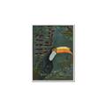 Picture of Long Beak I _GroupedProduct_Rectangle_Portrait_Canvas_Framed_