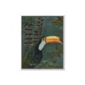 Picture of Long Beak I _GroupedProduct_Rectangle_Portrait_Canvas_Framed_