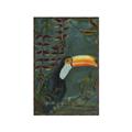 Picture of Long Beak I _GroupedProduct_Rectangle_Portrait_Canvas_Framed_