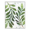 Picture of Vein Leaves III _GroupedProduct_Rectangle_Portrait_Canvas_Framed_