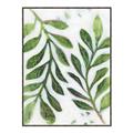 Picture of Vein Leaves III _GroupedProduct_Rectangle_Portrait_Canvas_Framed_