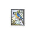 Picture of Parrot Paradise II  _GroupedProduct_Rectangle_Portrait_Canvas_Framed_