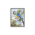 Picture of Parrot Paradise II  _GroupedProduct_Rectangle_Portrait_Canvas_Framed_