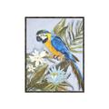 Picture of Parrot Paradise II  _GroupedProduct_Rectangle_Portrait_Canvas_Framed_