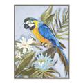 Picture of Parrot Paradise II  _GroupedProduct_Rectangle_Portrait_Canvas_Framed_