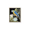 Picture of Parrot Paradise IV _GroupedProduct_Rectangle_Portrait_Canvas_Framed_