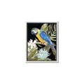 Picture of Parrot Paradise IV _GroupedProduct_Rectangle_Portrait_Canvas_Framed_