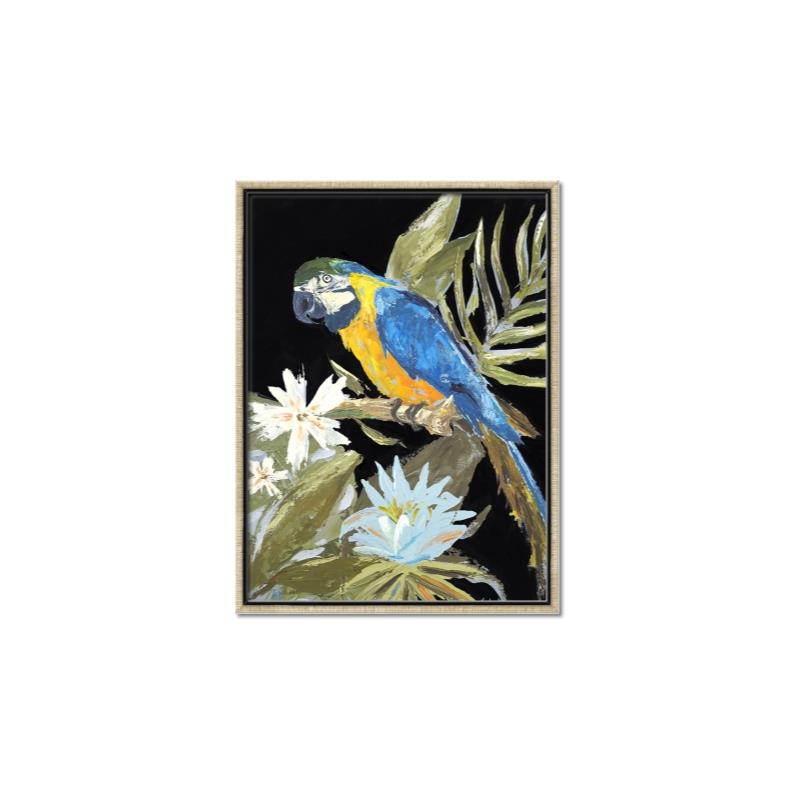 Picture of Parrot Paradise IV _GroupedProduct_Rectangle_Portrait_Canvas_Framed_