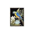 Picture of Parrot Paradise IV _GroupedProduct_Rectangle_Portrait_Canvas_Framed_