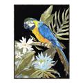 Picture of Parrot Paradise IV _GroupedProduct_Rectangle_Portrait_Canvas_Framed_