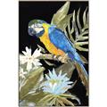 Picture of Parrot Paradise IV _GroupedProduct_Rectangle_Portrait_Canvas_Framed_
