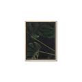 Picture of Tropical Palm Leaves I _GroupedProduct_Rectangle_Portrait_Canvas_Framed_