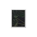 Picture of Tropical Palm Leaves I _GroupedProduct_Rectangle_Portrait_Canvas_Framed_