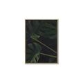 Picture of Tropical Palm Leaves I _GroupedProduct_Rectangle_Portrait_Canvas_Framed_