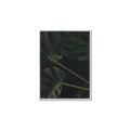 Picture of Tropical Palm Leaves I _GroupedProduct_Rectangle_Portrait_Canvas_Framed_