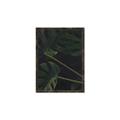 Picture of Tropical Palm Leaves I _GroupedProduct_Rectangle_Portrait_Canvas_Framed_
