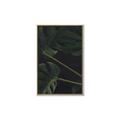 Picture of Tropical Palm Leaves I _GroupedProduct_Rectangle_Portrait_Canvas_Framed_