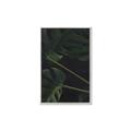 Picture of Tropical Palm Leaves I _GroupedProduct_Rectangle_Portrait_Canvas_Framed_