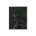 Picture of Tropical Palm Leaves I _GroupedProduct_Rectangle_Portrait_Canvas_Framed_
