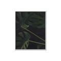 Picture of Tropical Palm Leaves I _GroupedProduct_Rectangle_Portrait_Canvas_Framed_