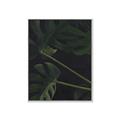 Picture of Tropical Palm Leaves I _GroupedProduct_Rectangle_Portrait_Canvas_Framed_