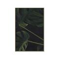Picture of Tropical Palm Leaves I _GroupedProduct_Rectangle_Portrait_Canvas_Framed_