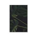 Picture of Tropical Palm Leaves I _GroupedProduct_Rectangle_Portrait_Canvas_Framed_