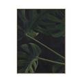Picture of Tropical Palm Leaves I _GroupedProduct_Rectangle_Portrait_Canvas_Framed_