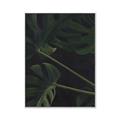 Picture of Tropical Palm Leaves I _GroupedProduct_Rectangle_Portrait_Canvas_Framed_