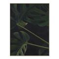 Picture of Tropical Palm Leaves I _GroupedProduct_Rectangle_Portrait_Canvas_Framed_