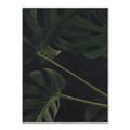 Picture of Tropical Palm Leaves I _GroupedProduct_Rectangle_Portrait_Canvas_Framed_