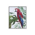 Picture of Red Parrot Paradise I _GroupedProduct_Rectangle_Portrait_Canvas_Framed_