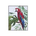 Picture of Red Parrot Paradise I _GroupedProduct_Rectangle_Portrait_Canvas_Framed_