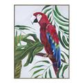 Picture of Red Parrot Paradise I _GroupedProduct_Rectangle_Portrait_Canvas_Framed_