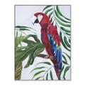 Picture of Red Parrot Paradise I _GroupedProduct_Rectangle_Portrait_Canvas_Framed_