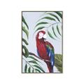 Picture of Red Parrot Paradise II _GroupedProduct_Rectangle_Portrait_Canvas_Framed_