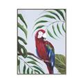 Picture of Red Parrot Paradise II _GroupedProduct_Rectangle_Portrait_Canvas_Framed_