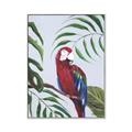 Picture of Red Parrot Paradise II _GroupedProduct_Rectangle_Portrait_Canvas_Framed_