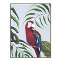 Picture of Red Parrot Paradise II _GroupedProduct_Rectangle_Portrait_Canvas_Framed_