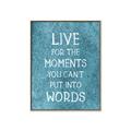 Picture of Live For The Moments II _GroupedProduct_Rectangle_Portrait_Canvas_Framed_